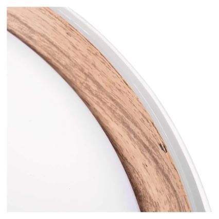 Reguliuojamas LED lubų šviestuvas ILVI LED/30W/230V 2700-6500K skersmuo 40 cm balta/smėlinė + nuotolinis valdymas