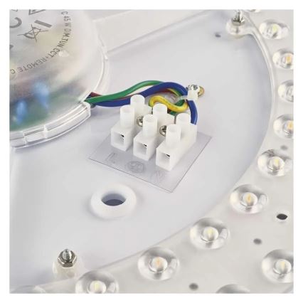 Reguliuojamas LED lubų šviestuvas ILVI LED/30W/230V 2700-6500K skersmuo 40 cm balta/smėlinė + nuotolinis valdymas