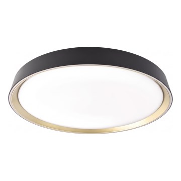 Reguliuojamas LED lubinis šviestuvas ILVI LED/45W/230V 2700-6500K skersmuo 50 cm juodas/žalvaris + nuotolinis valdymas