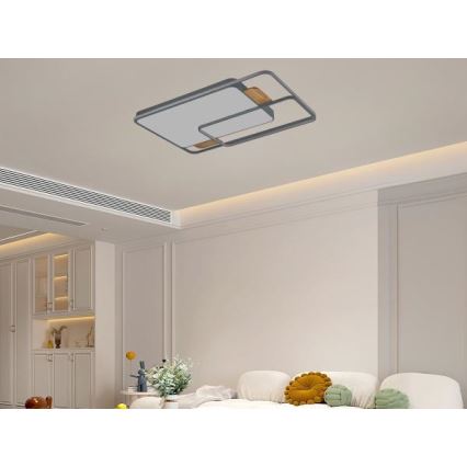 Reguliuojamas LED lubinis šviestuvas LED/280W/230V 3000-6500K + su nuotoliniu pultu