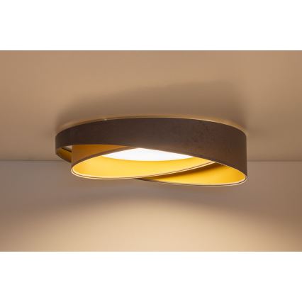 LED dimeriuojamas lubų šviestuvas SMART GALAXY MODERN LED/24W/230V 3000-6500K skersmuo 55 cm pilka/smėlinė/auksinė + nuotolinis valdymas