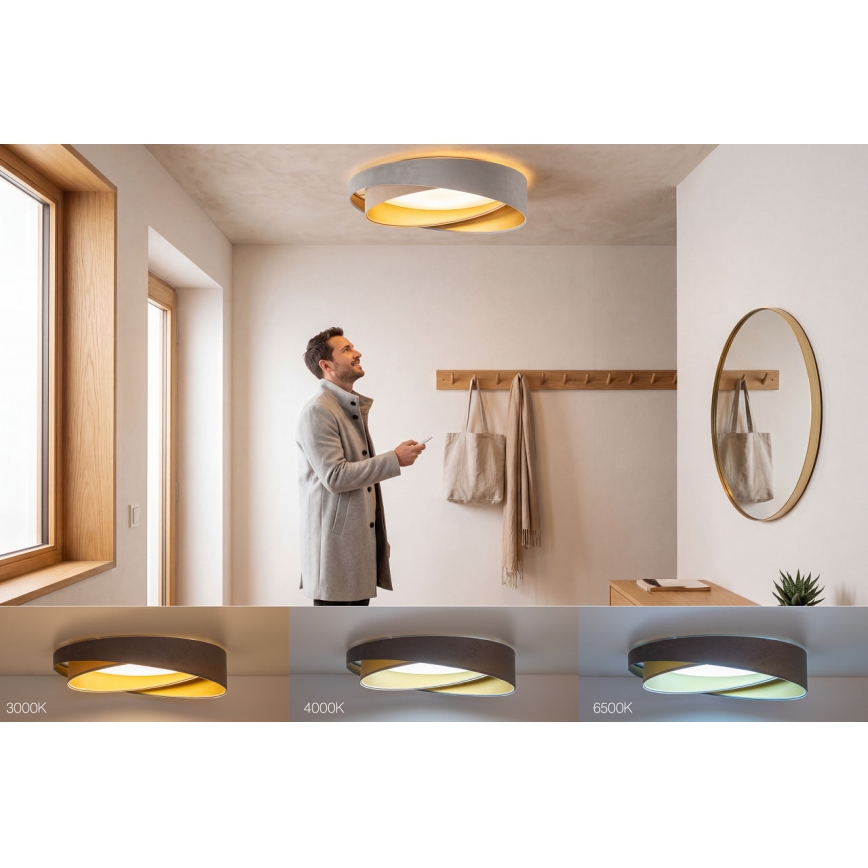 LED dimeriuojamas lubų šviestuvas SMART GALAXY MODERN LED/24W/230V 3000-6500K skersmuo 55 cm pilka/smėlinė/auksinė + nuotolinis valdymas