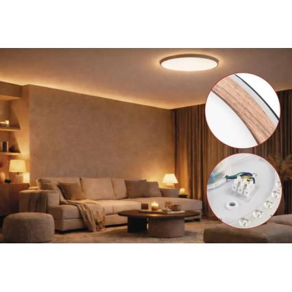 LED reguliuojamas lubų šviestuvas ILVI LED/30W/230V 2700-6500K skersmuo 40 cm juoda/smėlio spalvos + nuotolinis valdymas