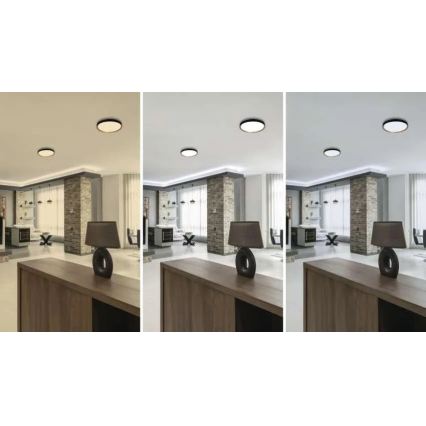 LED reguliuojamas lubų šviestuvas ILVI LED/30W/230V 2700-6500K skersmuo 40 cm juoda/smėlio spalvos + nuotolinis valdymas