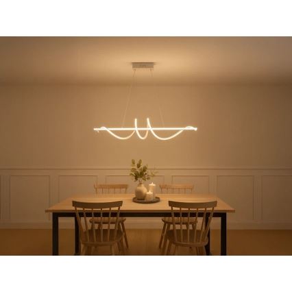 Reguliuojamas LED pakabinamas šviestuvas ant laido LED/50W/230V 3000-6500K 100 cm + nuotolinis valdymas