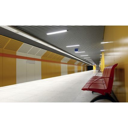 Reguliuojamas vonios šviestuvas LIMEA T8 2xG13/10W/230V IP65 1500mm