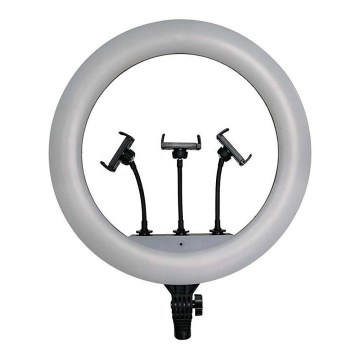 Reguliuojamo ryškumo LED lempa su stovu ir laikikliu vlogų kūrimui LED/55W/230V CRI 90 + nuotolinis valdymas