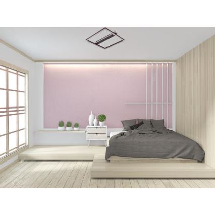 Reguliuojamo ryškumo LED lubų šviestuvas 60W/230V 3000-6500K + nuotolinio valdymo pultas