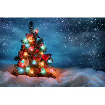 LED kalėdinė lauko girlianda 40×LED / 15 m, IP44, daugiaspalvė