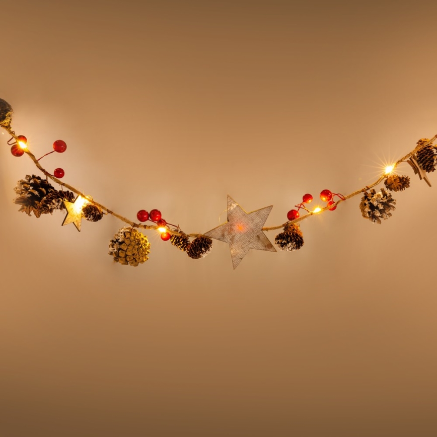 LED  girlianda 10xLED/3xAA 2,5m šilta balta