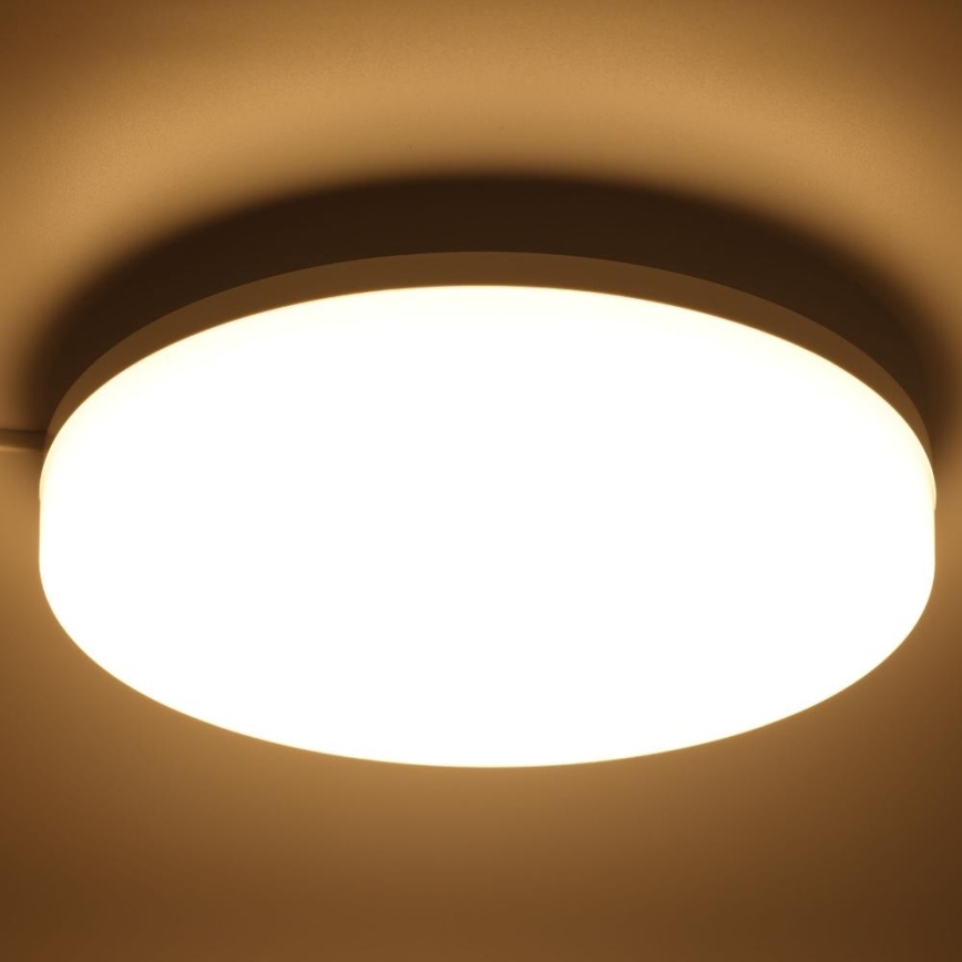 LED RGBW Pritemdomas sieninis vonios šviestuvas LED/20W/230V Wi-Fi IP44 balta