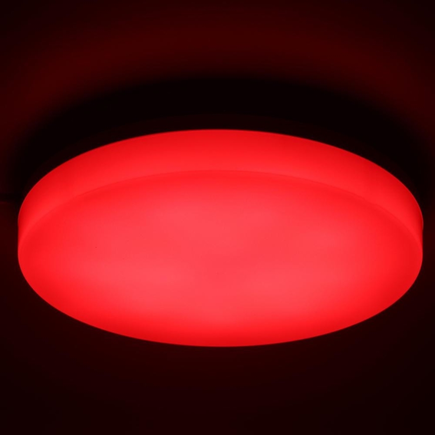 LED RGBW Pritemdomas sieninis vonios šviestuvas LED/20W/230V Wi-Fi IP44 balta