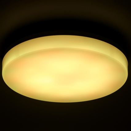 LED RGBW Pritemdomas sieninis vonios šviestuvas LED/20W/230V Wi-Fi IP44 balta