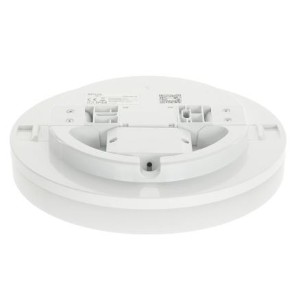 LED RGBW Pritemdomas sieninis vonios šviestuvas LED/20W/230V Wi-Fi IP44 balta