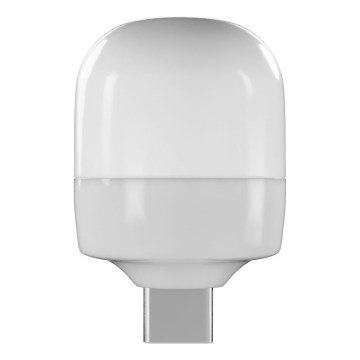 Retlux - LED žibintuvėlis LED/0,3W/USB