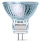 RINKINYS 2x Didelio našumo lemputė Philips HALOGEN G4/20W/12V 3000K