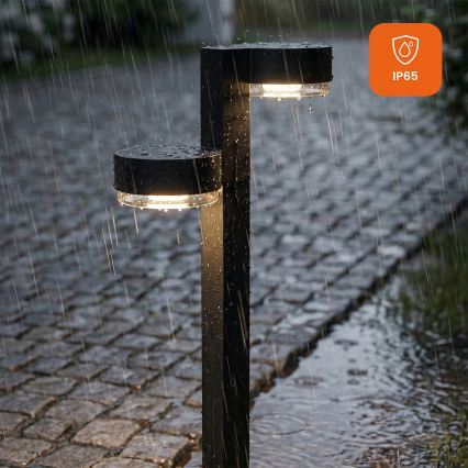 RINKINYS 2x LED Saulės lempa 2xLED/1W/3,7V 1200 mAh 55 cm IP65 juoda