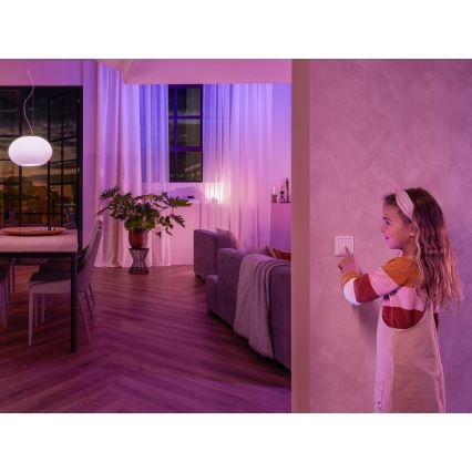 RINKINYS 2x Sieninio jungiklio modulis Philips Hue SWITCH