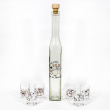 Rinkinys Cornelia 1x stiklinis butelis kvadratinis ir 6x stikliukai šotams, skaidrūs