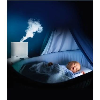 Rowenta - Oro drėkintuvas AQUA BOOST 2,5 l 115W/230V