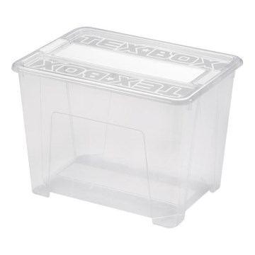 Sandėliavimo dėžė TEX BOX 21 l permatoma