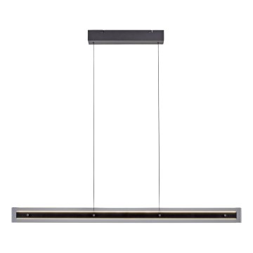 Schöner Wohnen 11316-18 - Dimeriuojamas pakabinamas šviestuvas ant laido LENA LED/32W/230V 105 cm juoda