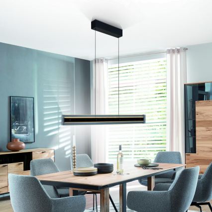 Schöner Wohnen 11316-18 - LED pakabinamas šviestuvas ant laido LENA, su reguliuojamu ryškumu, LED/32W/230V, juodas