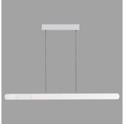 Schöner Wohnen 12577-16 - LED dimeriuojamas pakabinamas šviestuvas ant laido ADRIANA ROUND 2xLED/24W/230V 2700/3000/3500/4000/5000K 160 cm balta