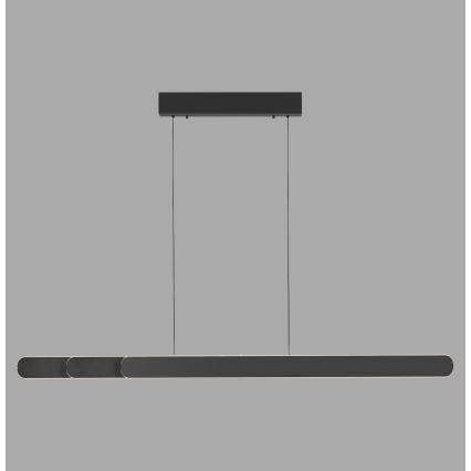 Schöner Wohnen 12577-18 - LED dimeriuojamas pakabinamas šviestuvas ADRIANA ROUND ant laido 2xLED/24W/230V 2700/3000/3500/4000/5000K juodas