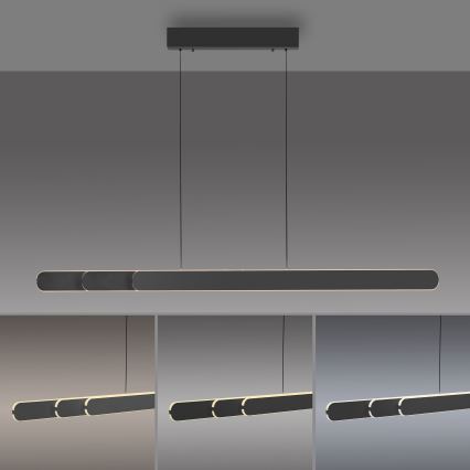 Schöner Wohnen 12577-18 - Dimeriuojamas pakabinamas šviestuvas ant kabelio ADRIANA ROUND 2xLED/24W/230V 2700/3000/3500/4000/5000K 160 cm juoda