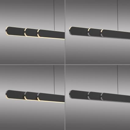 Schöner Wohnen 12577-18 - Dimeriuojamas pakabinamas šviestuvas ant kabelio ADRIANA ROUND 2xLED/24W/230V 2700/3000/3500/4000/5000K 160 cm juoda