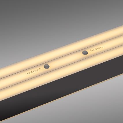 Schöner Wohnen 12577-18 - Dimeriuojamas pakabinamas šviestuvas ant kabelio ADRIANA ROUND 2xLED/24W/230V 2700/3000/3500/4000/5000K 160 cm juoda