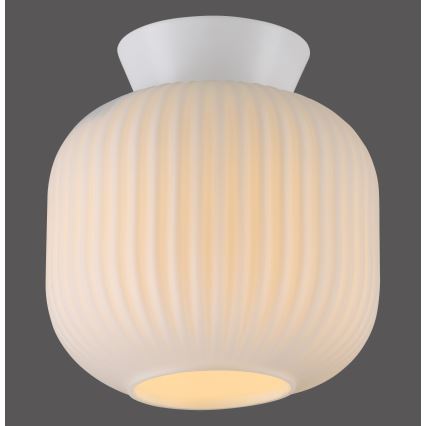 Schöner Wohnen 13574-16 - Lubinis šviestuvas NAMI 1xE27/25W/230V, skersmuo 20 cm, baltas