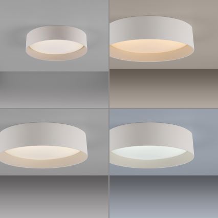 Schöner Wohnen 14593-39 - LED dimeriu reguliuojamas lubinis šviestuvas TAVOLI LED/10W/230V 2700-6500K skersmuo 28,5 cm pilka + nuotolinis pultas