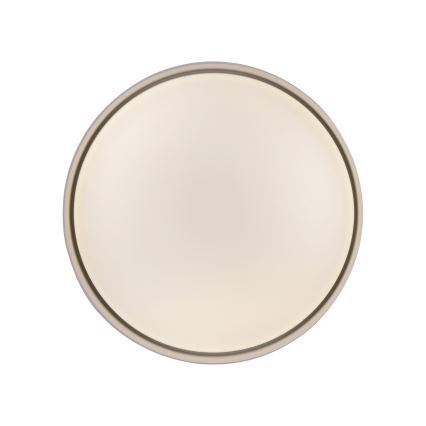 Schöner Wohnen 14593-39 - LED dimeriu reguliuojamas lubinis šviestuvas TAVOLI LED/10W/230V 2700-6500K skersmuo 28,5 cm pilka + nuotolinis pultas