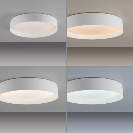 Schöner Wohnen 14594-16 – dimeriuojamas LED lubų šviestuvas TAVOLI, LED 20 W, 230 V, 2700–6500 K, skersmuo 39 cm, baltas, su nuotoliniu valdymu