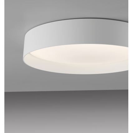 Schöner Wohnen 14594-16 – dimeriuojamas LED lubų šviestuvas TAVOLI, LED 20 W, 230 V, 2700–6500 K, skersmuo 39 cm, baltas, su nuotoliniu valdymu