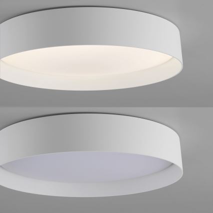 Schöner Wohnen 14594-16 – dimeriuojamas LED lubų šviestuvas TAVOLI, LED 20 W, 230 V, 2700–6500 K, skersmuo 39 cm, baltas, su nuotoliniu valdymu