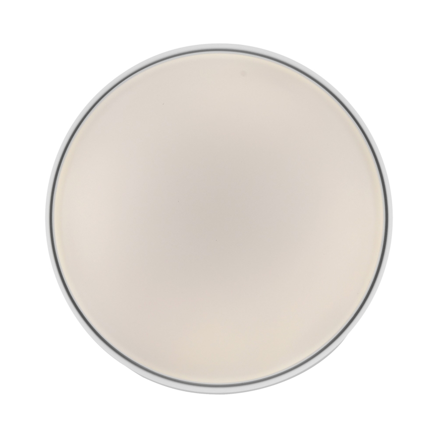 Schöner Wohnen 14594-16 – dimeriuojamas LED lubų šviestuvas TAVOLI, LED 20 W, 230 V, 2700–6500 K, skersmuo 39 cm, baltas, su nuotoliniu valdymu