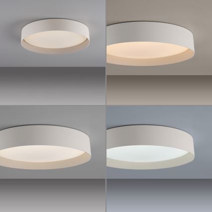 Schöner Wohnen 14594-39 - reguliuojamo ryškumo LED lubinis šviestuvas TAVOLI LED/20W/230V 2700-6500K skersmuo 39 cm pilkas + nuotolinis valdymas