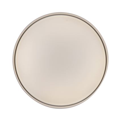 Schöner Wohnen 14594-39 - reguliuojamo ryškumo LED lubinis šviestuvas TAVOLI LED/20W/230V 2700-6500K skersmuo 39 cm pilkas + nuotolinis valdymas