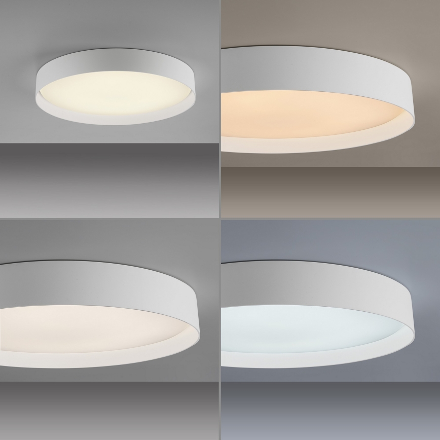 Schöner Wohnen 14595-16 - dimeriuojamas LED lubinis šviestuvas TAVOLI LED/34W/230V 2700-6500K skersmuo 49 cm balta + nuotolinis valdymas