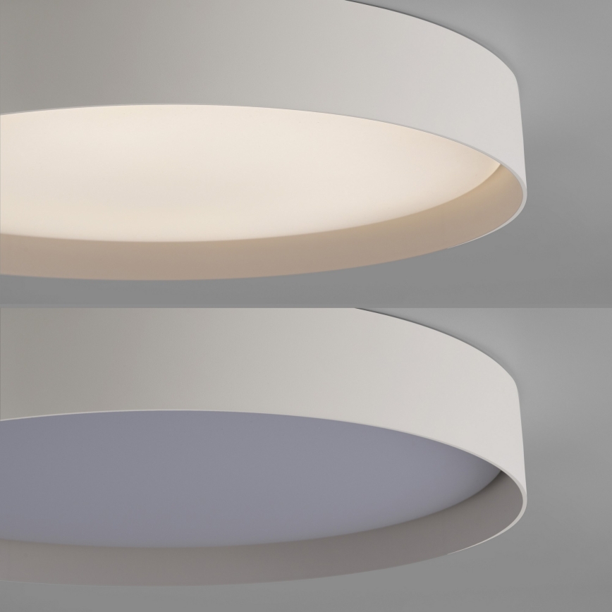 Schöner Wohnen 14595-39 - LED dimeriuojamas lubų šviestuvas TAVOLI LED/34W/230V 2700-6500K skersmuo 49 cm pilkas + nuotolinis valdymas