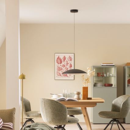 Schöner Wohnen 14606-18 - LENTE LED dimeriuojama pakabinama liustra su laidu LED/17W/230V Ø 40 cm juoda