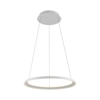 Schöner Wohnen 15570-16 - LED dimeriu reguliuojamas pakabinamas šviestuvas ant laido QUILLO LED/36W/230V Ø 60 cm balta