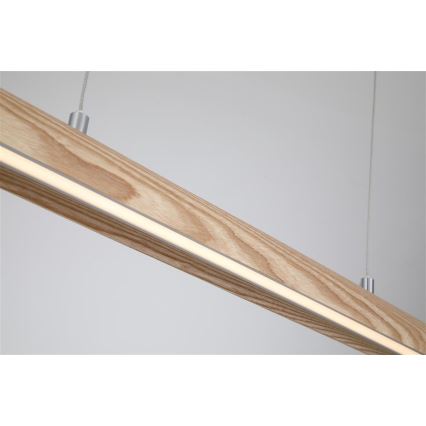 Searchlight - dimeriuojamas LED pakabinamas šviestuvas ant laido KENZIE LED/29W/230V 2700/3000/4000K