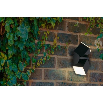 Searchlight - LED lauko sieninis šviestuvas MONTANA 2xLED/6W/230V IP44