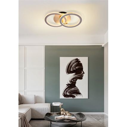 Searchlight - LED dimeriuojamas lubinis šviestuvas SPECS LED/24W/230V 3000K 25x42,5 cm