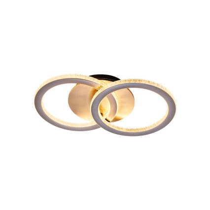 Searchlight - LED dimeriuojamas lubinis šviestuvas SPECS LED/24W/230V 3000K 25x42,5 cm