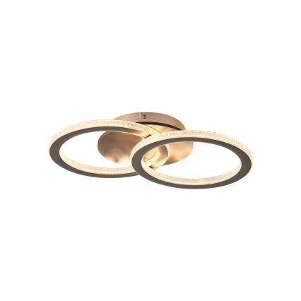 Searchlight - LED dimeriuojamas lubinis šviestuvas SPECS LED/24W/230V 3000K 25x42,5 cm